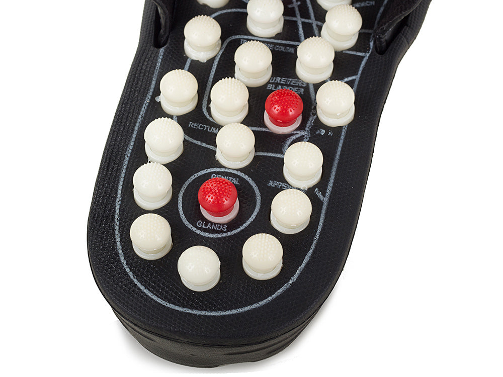 59f8dce052a862a935961e432d052ec8 59f8dce052a862a935961e432d052ec8